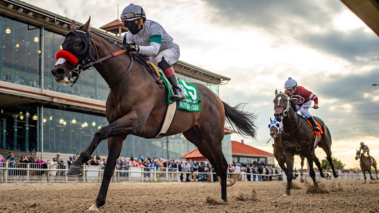 Gr.1 winner Hot Rod Charlie features among Carnival ... Image 1